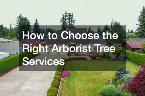 How to Choose the Right Arborist Tree Services